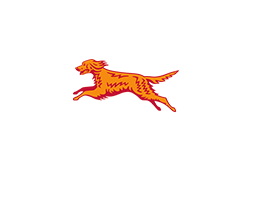 Digital Signage - Bus Eireann Focal Media